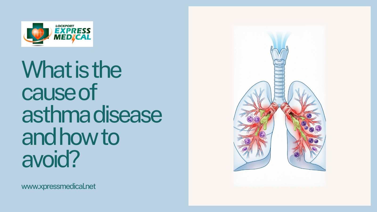 What is the cause of asthma disease and how to avoid