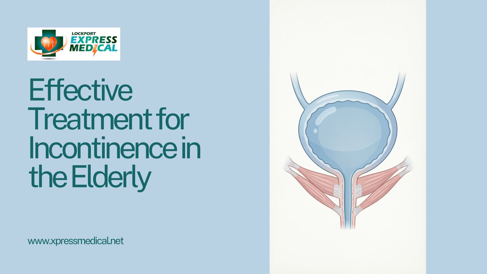 Effective Treatment for Incontinence in the Elderly