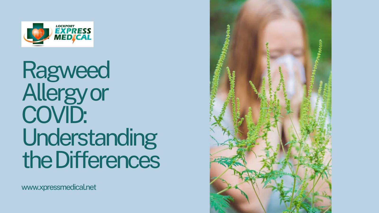 ragweed allergy or covid