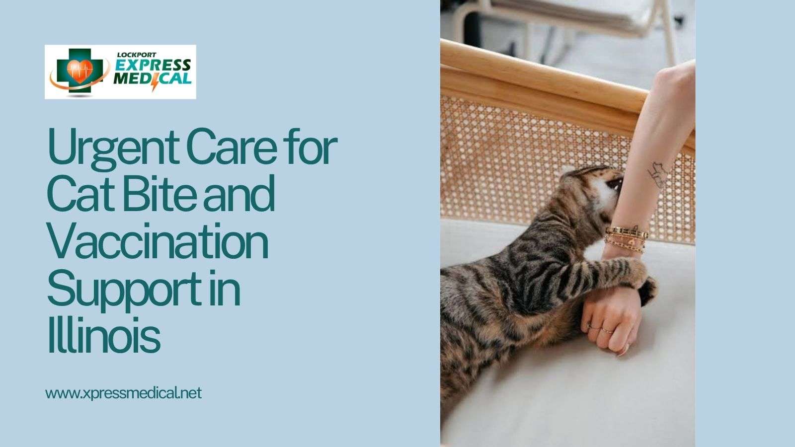 Urgent Care for Cat Bite