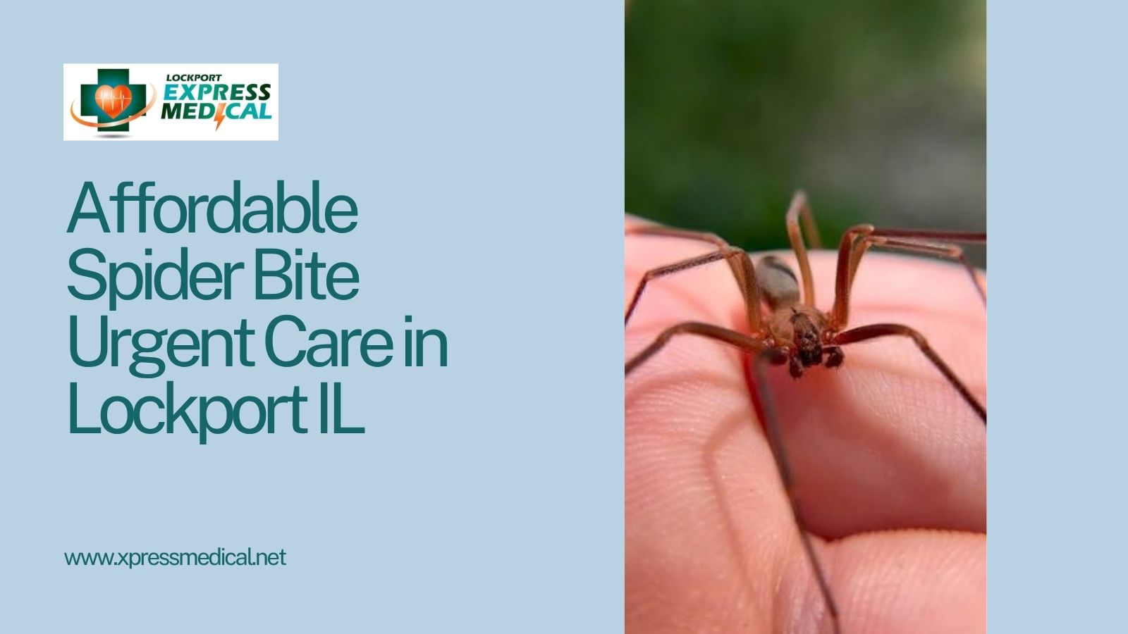 Affordable Spider Bite Urgent Care in Lockport IL